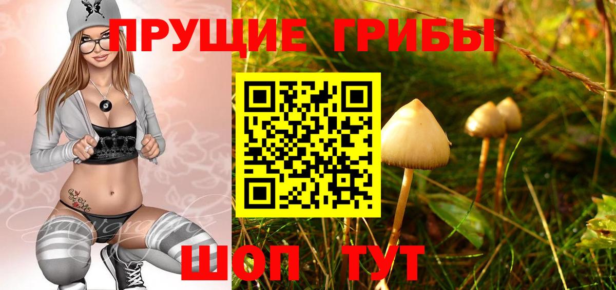 Галлюциногенные грибы ЛСД Вышний Волочёк